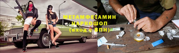 индика Богданович